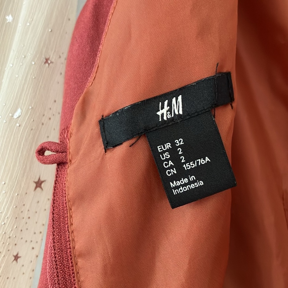 H&M Size 2 Burnt Orange Cap-Sleeved Pleated Front Lined Mini Dress - Picture 3 of 4